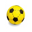 Pallone di spugna