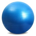 Palla fitball 65
