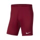 NIKE SHORT PARK III