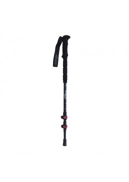 Joluvi Bastoncini Trekking Graphital